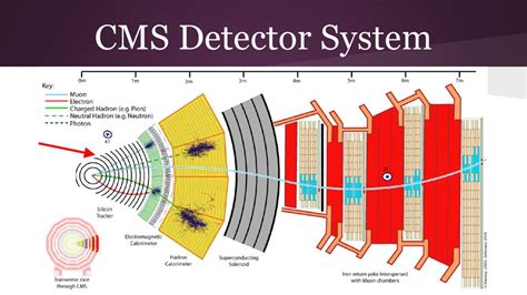 detect cms